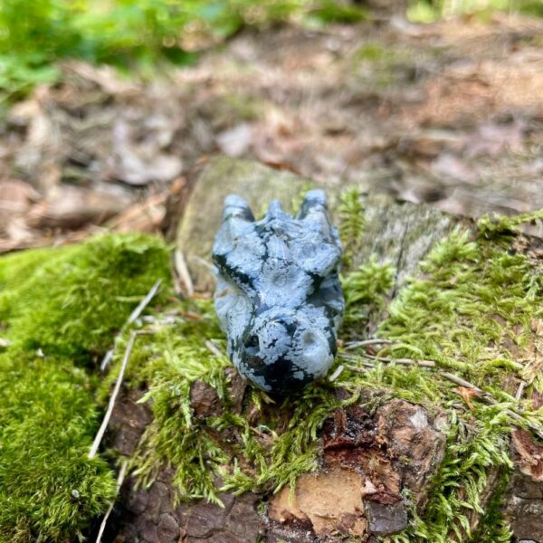 2025 Drakenschedel van sneeuwvlok Obsidiaan