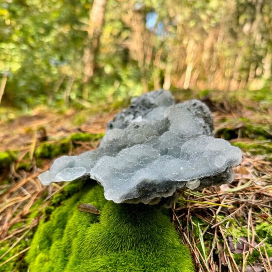 0322 Cluster van ruwe Chalcedoon