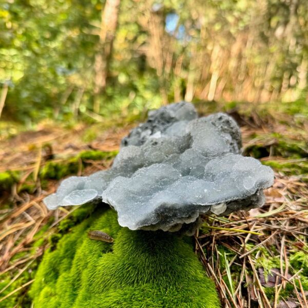 0322 Cluster van ruwe Chalcedoon 2