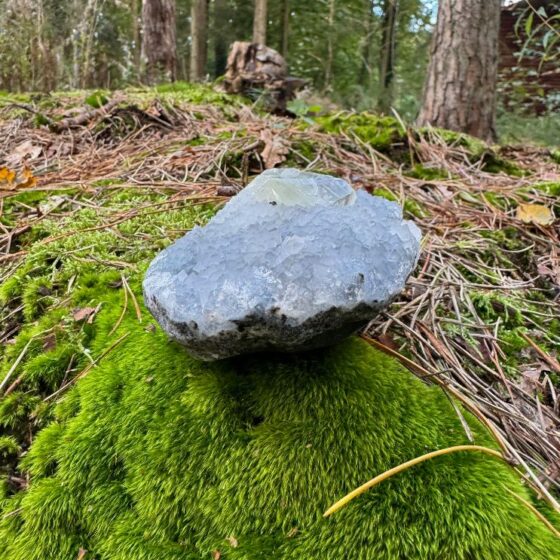 0347 Apofyliet met Bergkristal