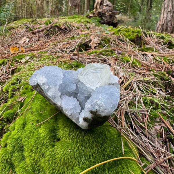 0347 Apofyliet met Bergkristal 3