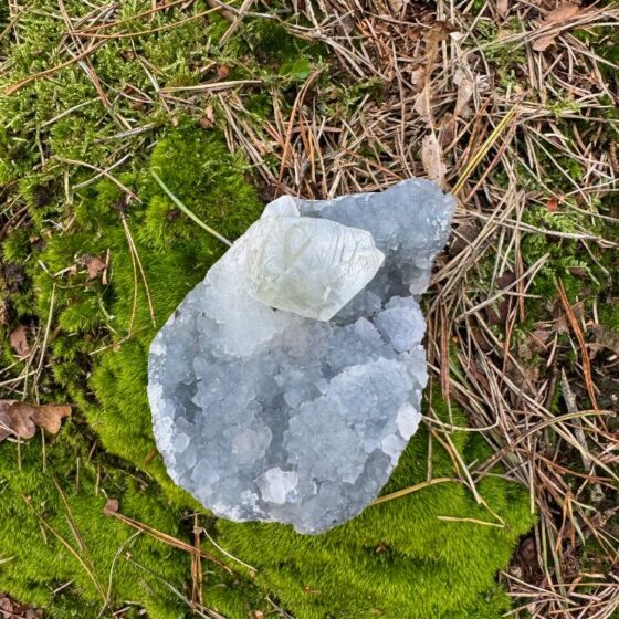 0347 Apofyliet met Bergkristal