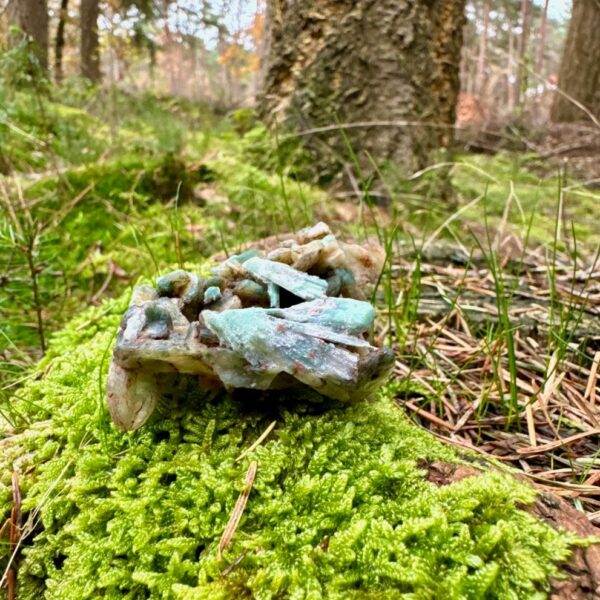 0512 Cluster van groene Apofyliet