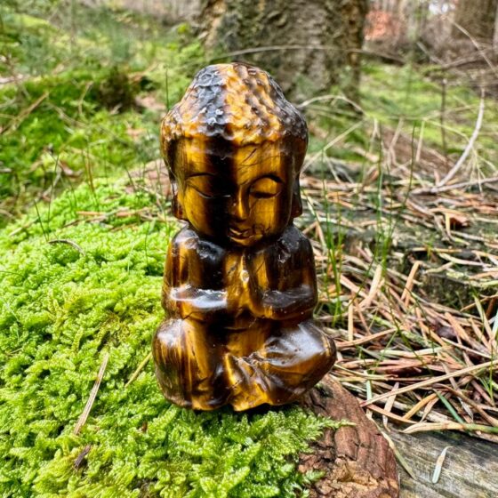 0543 tijgeroog baby budha 3