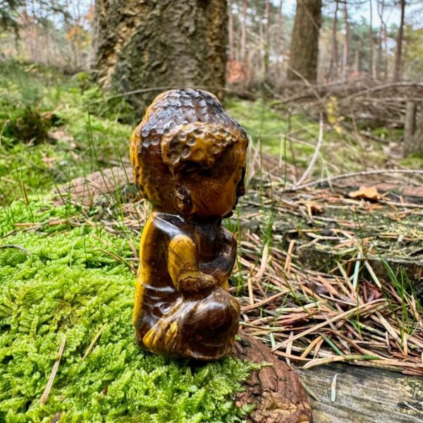 0543 tijgeroog baby budha